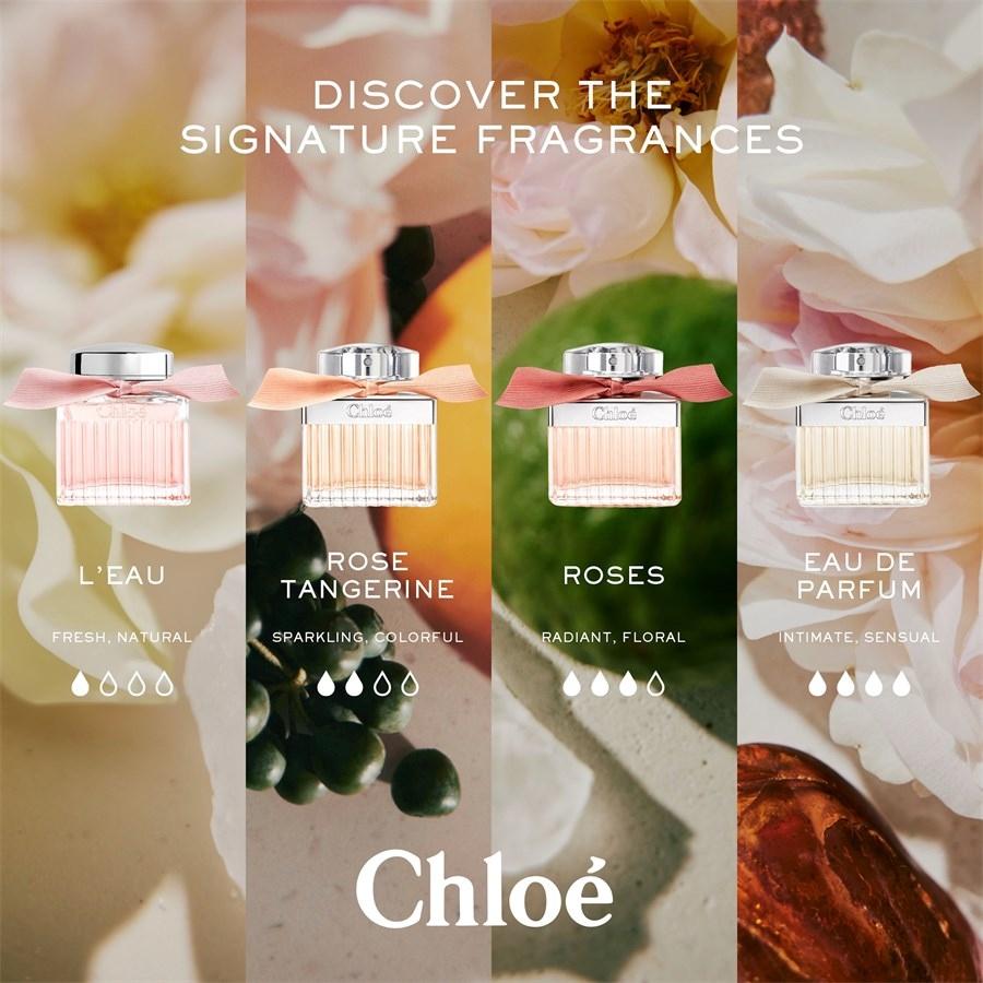 Chloé Chloé Eau de Parfum Spray Offerte speciali