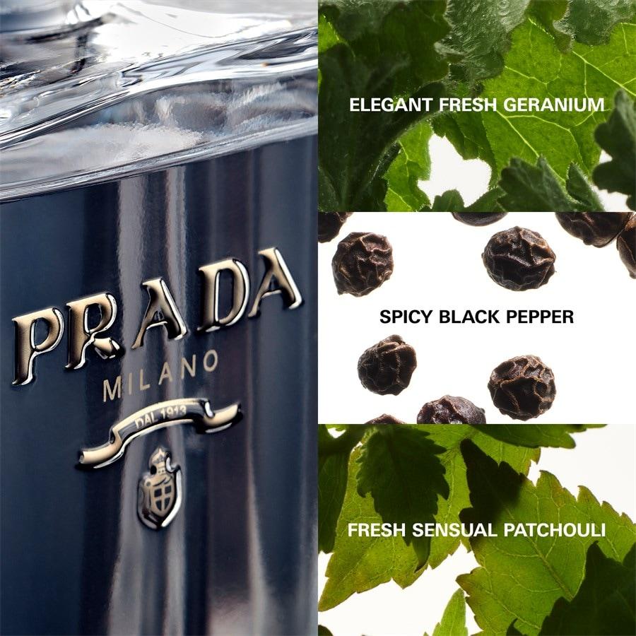 Prada L'Homme Eau de Toilette Spray In Linea